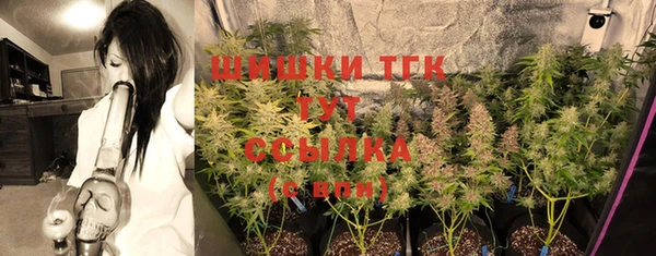 сатива Михайлов